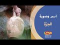 الجر ة اسم وصورة 
