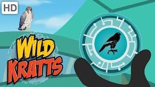 Wild Kratts 🦅 Fly Up High with Creature Powers! | Kids Videos