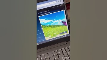 Easy Butterfly Animation ✨| HTML CSS