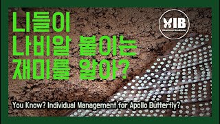 멸종위기종 증식과 복원은 온 몸으로 하는 일. 개체 관리를 위해 붉은점모시나비의 알 붙이는 작업을 멸종위기종복원센터 연구원들과 함께 진행했습니다.