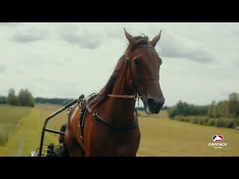 Комплект упряжі для рисистих перегонів QH Harness Pro, Beta Synthetic в асортименті, нар. коб COB, видео 1