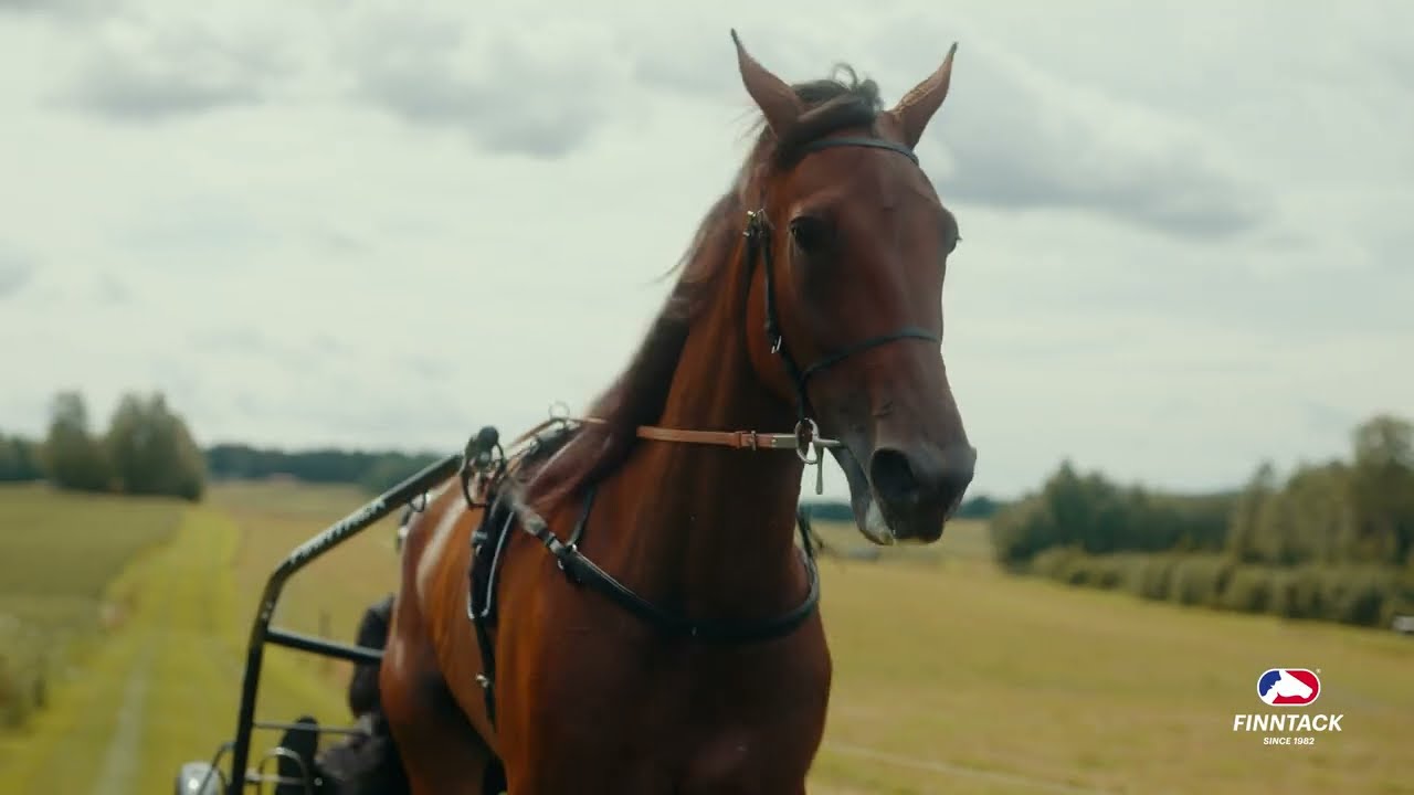 Finntack Pro QH Synthetic (100% Beta) Harness, Complete