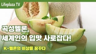 곡성멜론, 세계인의 입맛 사로잡다! K 멜론의 비상을 꿈꾸다  e7364767esgut0q
