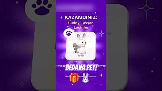 Bedava Pettavşanları Buluyoruz 10 Pk Xd