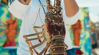 Caye Caulker Lobster Fest | 2026 Promo