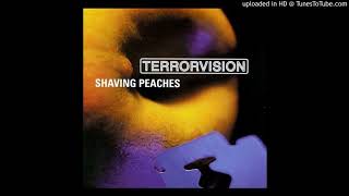 05 In Your Shoes (Terrorvision - Shaving peaches)