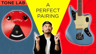 Why The Fender Jaguar is the BEST Guitar For a Fuzz Face Pedal | TONE LAB