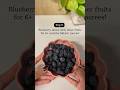 5 ways to give blueberries to 6+ months babies #blueberry #applepuree #babyfood #babyfoodrecipe