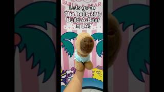 Going to the Hello Kitty LA Build-A-Bear workshop #buildabearworkshop #hellokitty #capybara