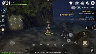 블레이드 소울 레볼루션 12 07 서버 종료 BS revolution
