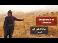                                                                     حياة الرعي في لبنان نجومي