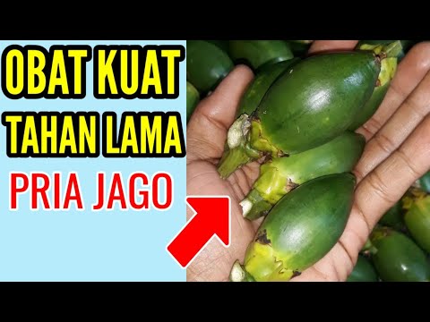 Obat kuat pria tahan lama Obat kuat pria tahan lama