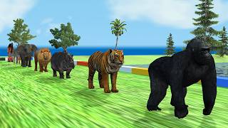 Slide Game Animals Battle 3D with Gorilla 🆚 Lion 🆚 Tiger 🆚 Elephant 🆚 Camel 🆚 Zebra 3D Animal Funny