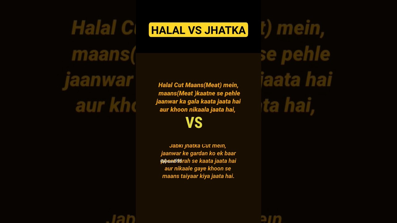 Halal vs Jhatka 