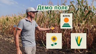 Демо поле КВС 2021