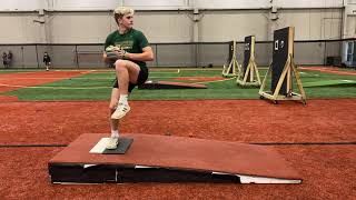 Mound Plyocare Step Backs