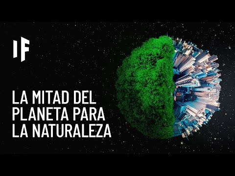 Video: ¿Qué planeta está aproximadamente a la mitad?