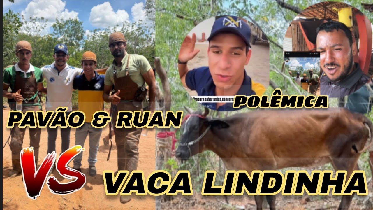 Corrida da Vaca Lindinha da Bahia,  Vaqueiros Pavão & Ruan ❌️ Vaca Lindinha 