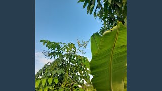 Download Lagu Teh Hangat Temani Rindu MP3