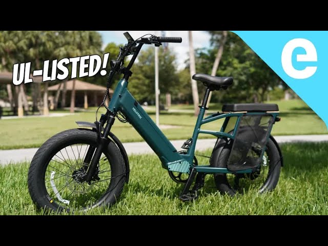 ADDMOTOR M-430 Bicicleta eléctrica para adultos, 85 MI, 24 x 4.0 Fat Tire  Cruiser Bicicletas eléctricas, bicicleta eléctrica paso a paso con motor