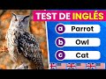 Test de Animales en INGLÉS 🐻🐥🐸| Nivel Fácil ✅| English Test