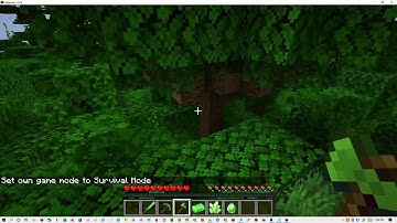 How to get emerald tools in minecraft 1.14.4 NO FORGE