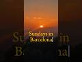 Sundays in Barcelona #chanyinbarcelona #barcelonalife #poppythepoodle1