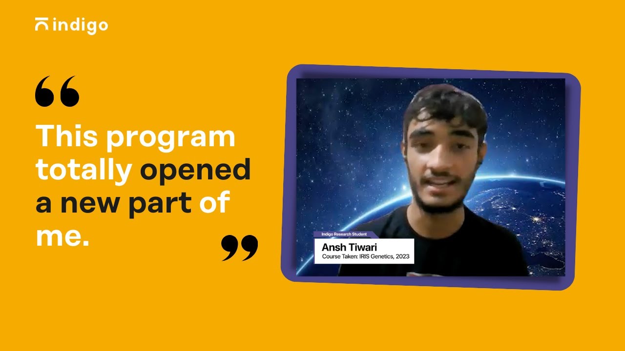 What Did Ansh Say About Our Program? - YouTube