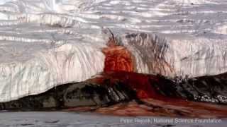 World's 10 Most Bizarre Natural Phenomena