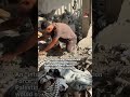 Israel continues deadly strikes on Gaza despite Trump truce efforts