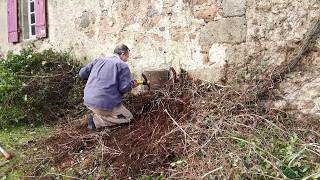 Have we discovered a secret tunnel hidden behind the shrubs ?