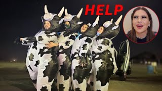Stranded In The Desert As Cows (feat. Brittany Broski, Emmy Hartman, & Christel)