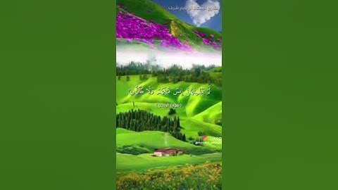 ماشاءالله /صوت مريح للقلب القارئ ابراهيم شرف ابو طالب