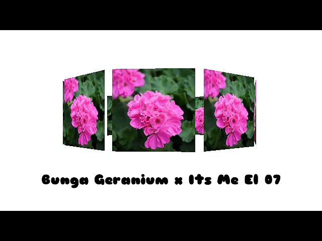 Bunga Geranium x Its Me El 07 Vol 2 class=