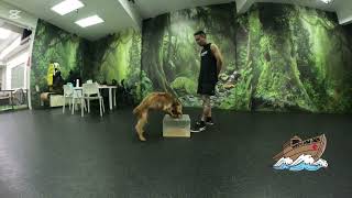 Cody does the basics of passive indication