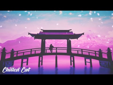 chilled cat - gomen'nasai