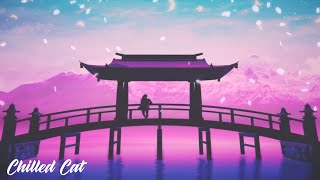 Chilled Cat - Gomennasai