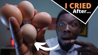 Dos and Don'ts of Fermented Chicken Feeds (LEARN FROM MY EXPERIENCE)