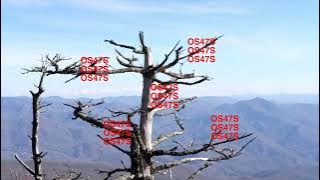 Drex Carter - OS47S (Volume 6)