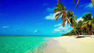 4K Breathtaking Beach Ambience🌴🌊🌴Spend a Lazy Day of Relaxation | Rest | ASMR | Sleep | Study screenshot 4