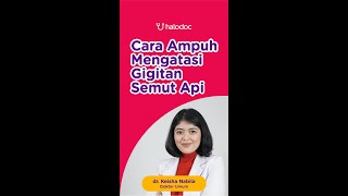 Cara Ampuh Mengatasi Gigitan Semut Api
