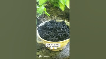 How to apply Biochar