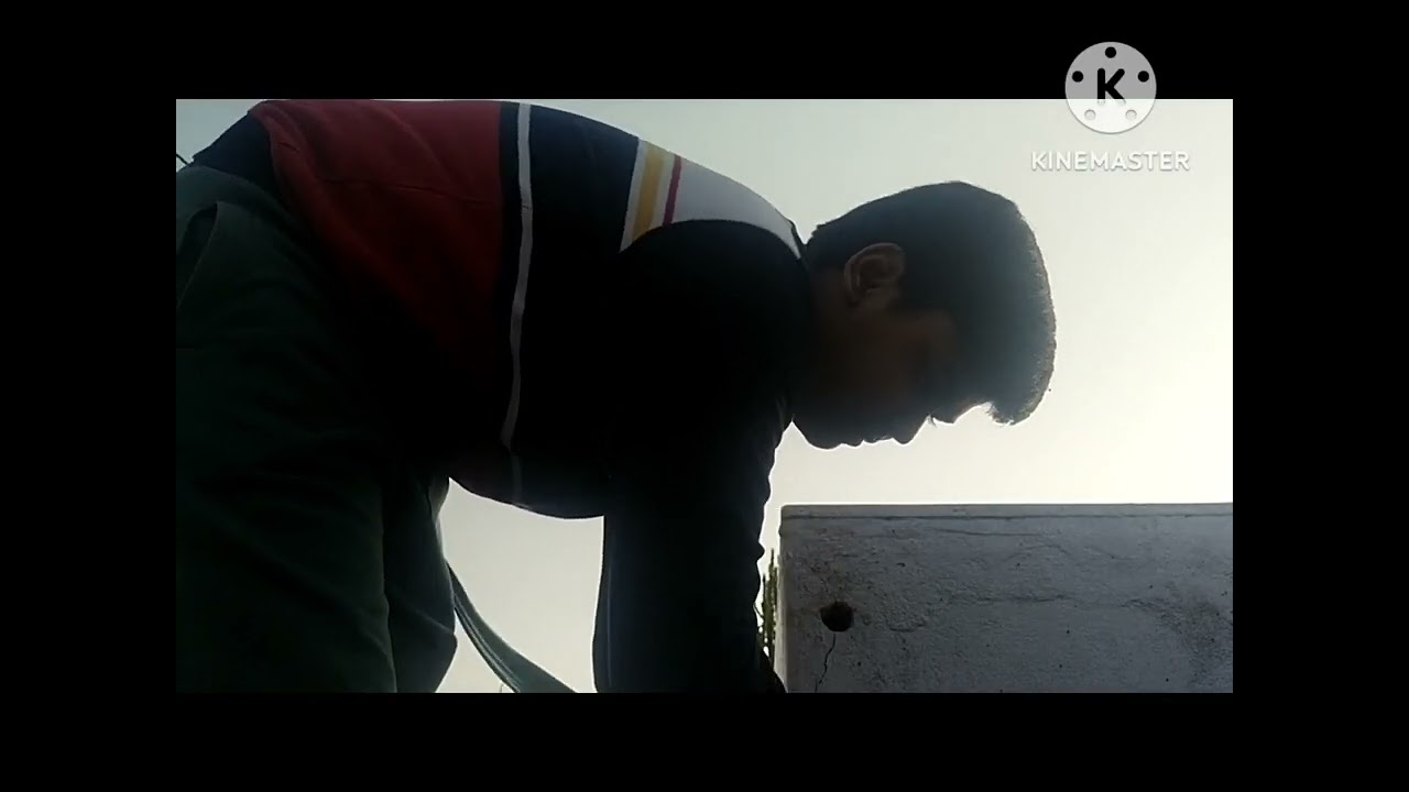 Reporting new snake plant 🌵