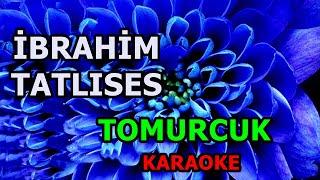 ༺🌸༻ Tomurcuk༺🌸༻ 👑 İbrahim Tatlıses 👑 🎤Karaoke🎤