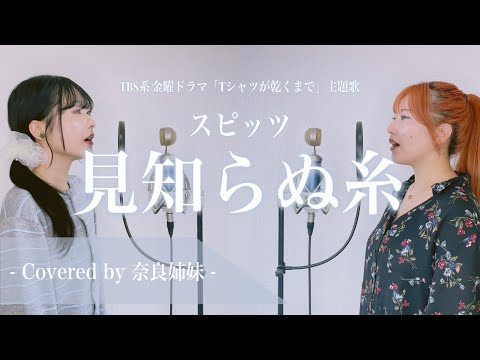 [Female Duo Harmony Cover] Mishiranu Ito / Spitz (Theme song for the TBS Friday drama "Until the ...