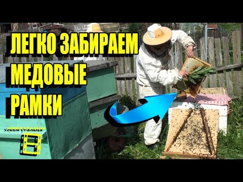 КАК ЛУЧШЕ ОТБИРАТЬ