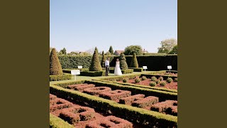 Abadi Ikatan Cepat Malam