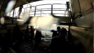 1,000 chinook salmon- Sawtooth Fish Hatchery