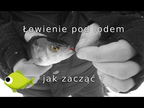 Wideo: Czym Jest Ukłon W Stronę łowienia Pod Lodem?