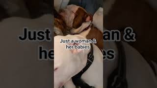 #pitties #dogs